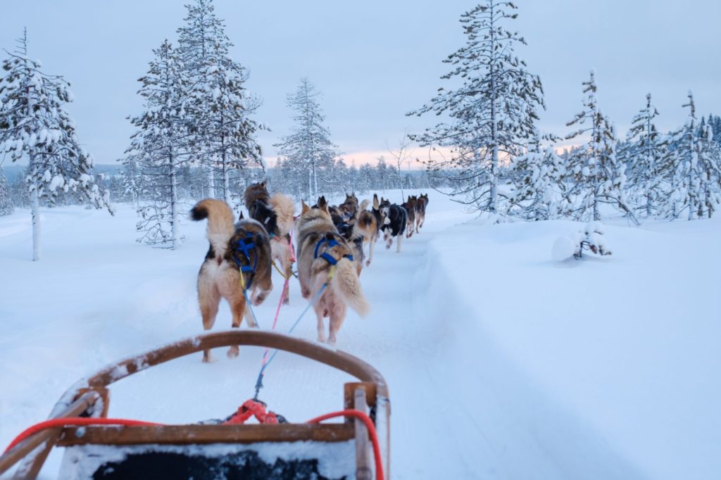 Hemingstone Travel - Lapland