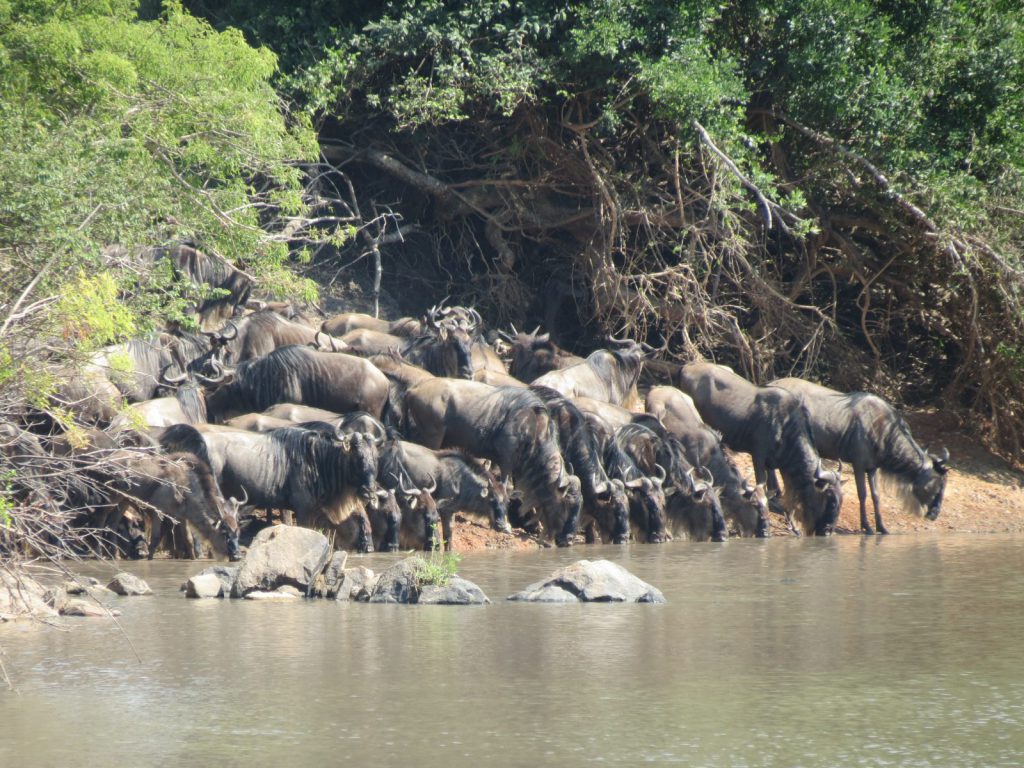 Hemingstone Travel - Tanzania 