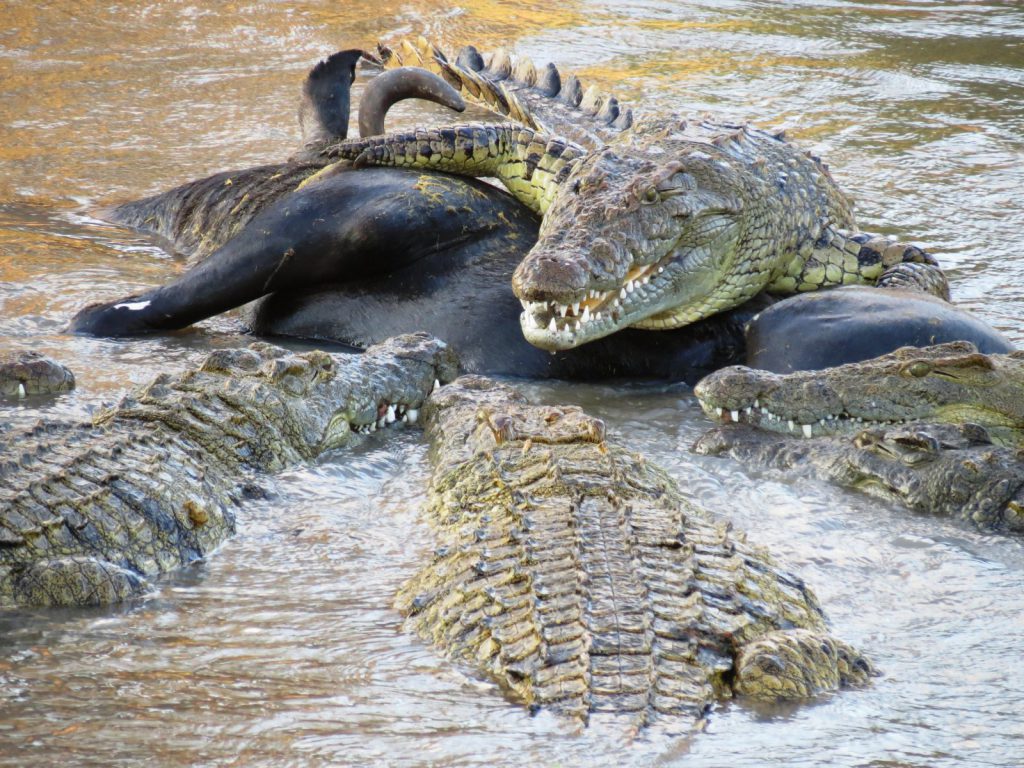 Hemingstone Travel - Tanzania