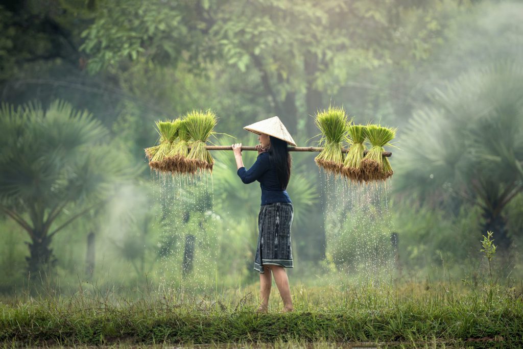 Hemingstone Travel - Mekong