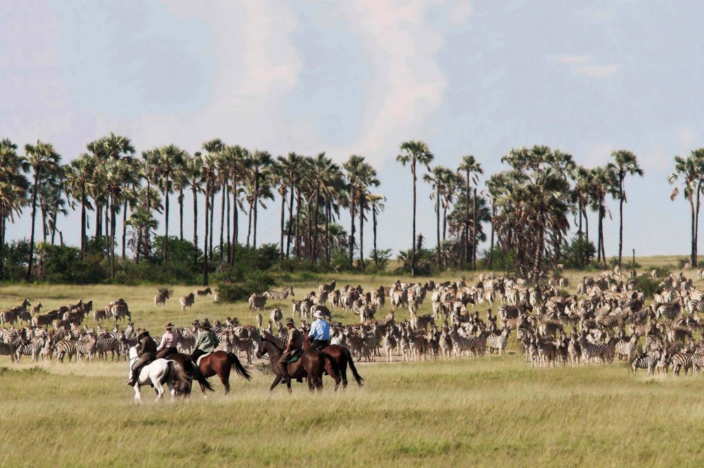 Hemingstone Travel - Botswana