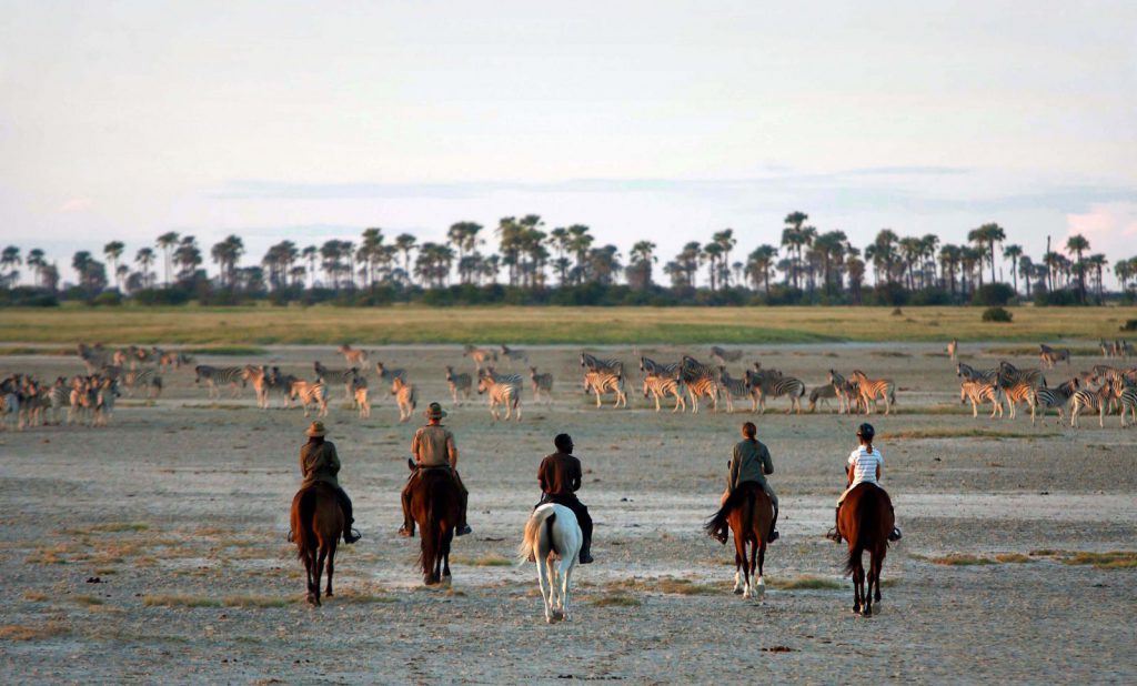 Hemingstone Travel - Botswana