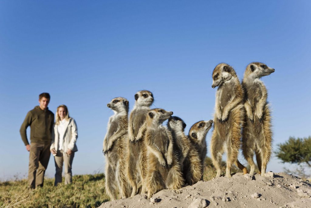 Hemingstone Travel - Botswana